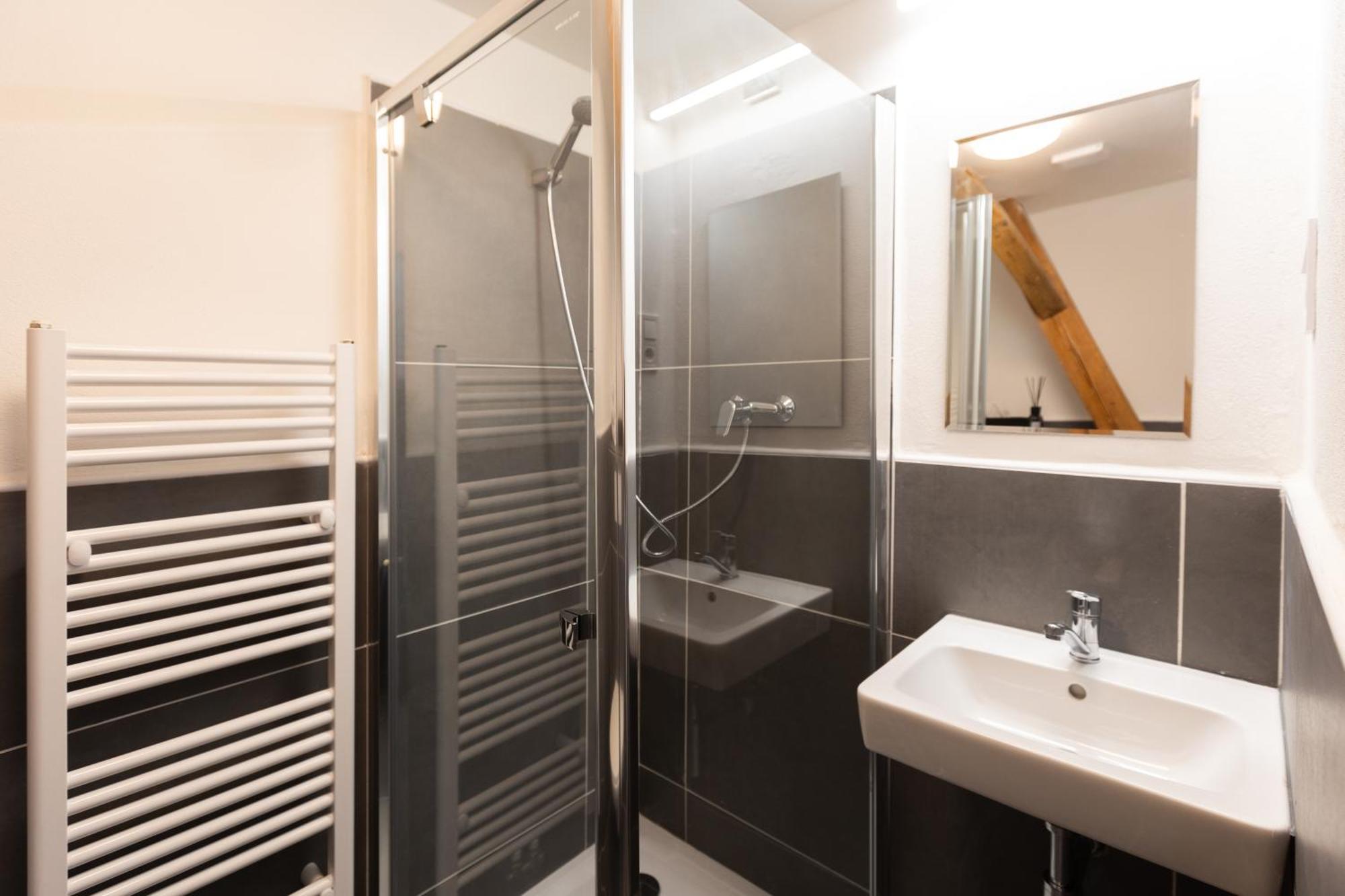 צ'סקה בודיוביצה Apartmany Otakarova מראה חיצוני תמונה