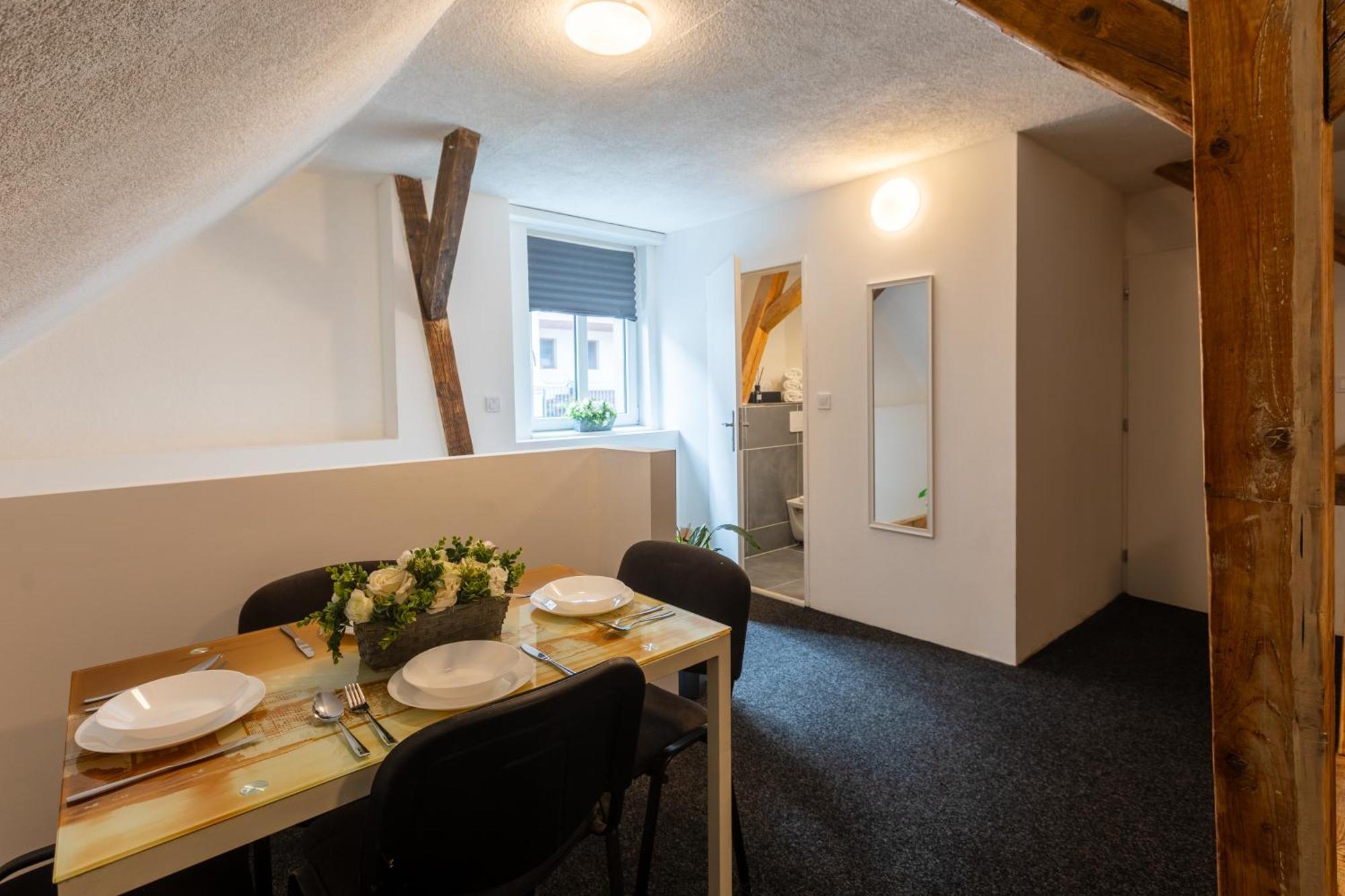 צ'סקה בודיוביצה Apartmany Otakarova מראה חיצוני תמונה